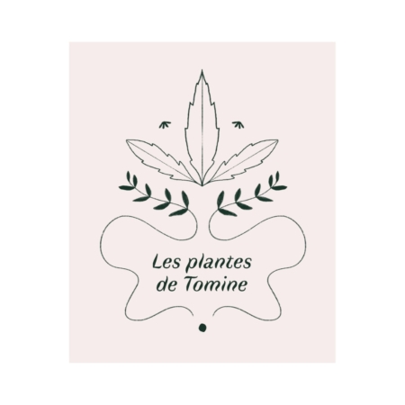 LES PLANTES DE TOMINE