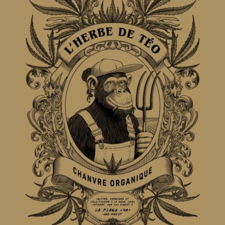 L'HERBE DE TEO