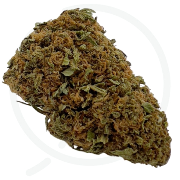 OG KUSH CBD - OUTDOOR – Image 2