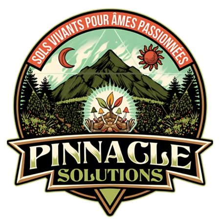 PINNACLE SOLUTIONS