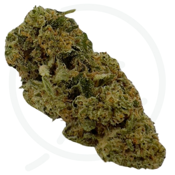 PLATINIUM PANTHER CBD - BIO – Image 2