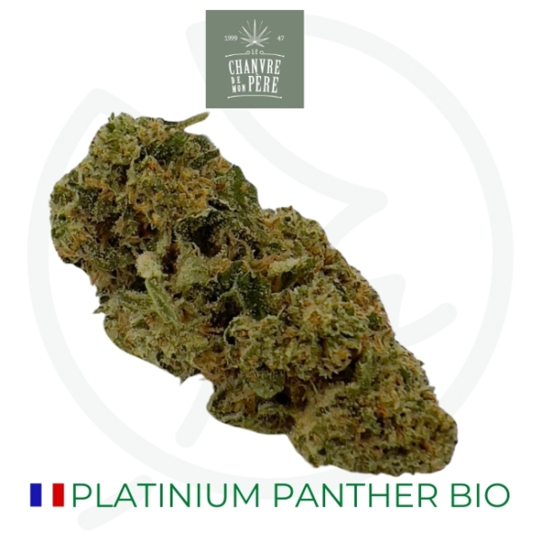 PLATINIUM PANTHER CBD - BIO