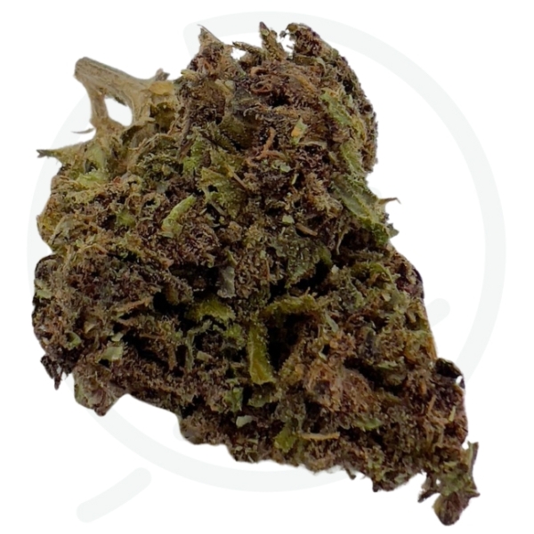 PURPLE CAKE CBD - GREENHOUSE – Image 2