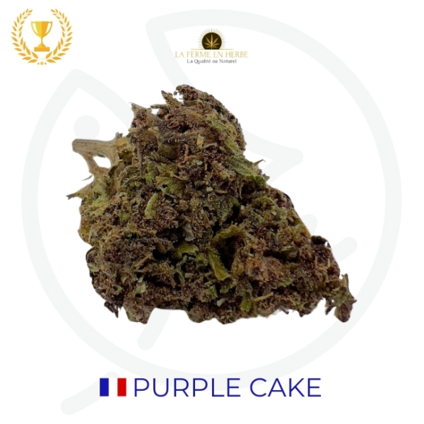 PURPLE CAKE CBD - GREENHOUSE