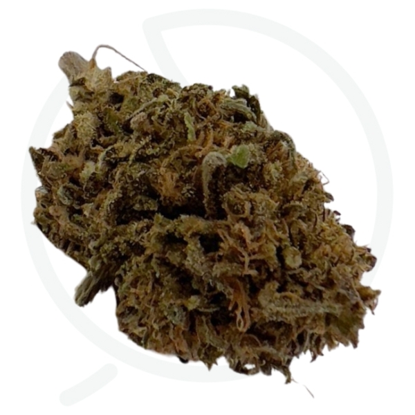 RASPBERRY CBD - LIVING SOIL – Image 2