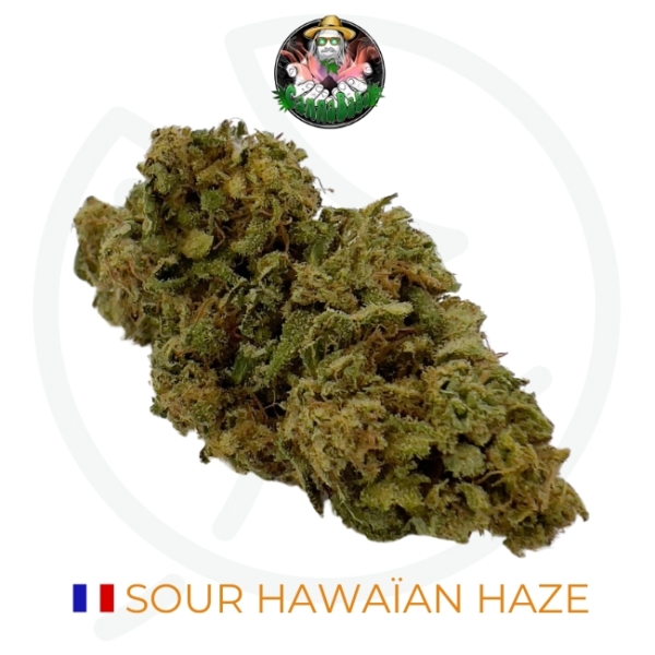 SOUR HAWAÏAN HAZE CBD - LIVING SOIL