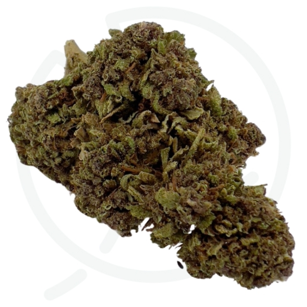 VANILLA CBD - OUTDOOR – Image 2