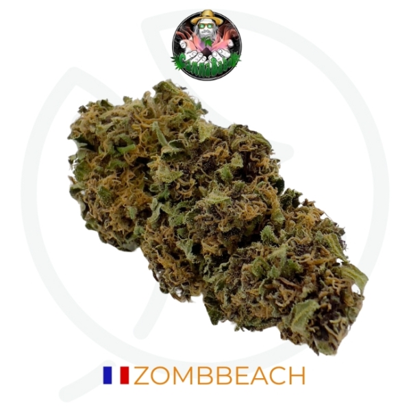 ZOMBBEACH CBD - LIVING SOIL