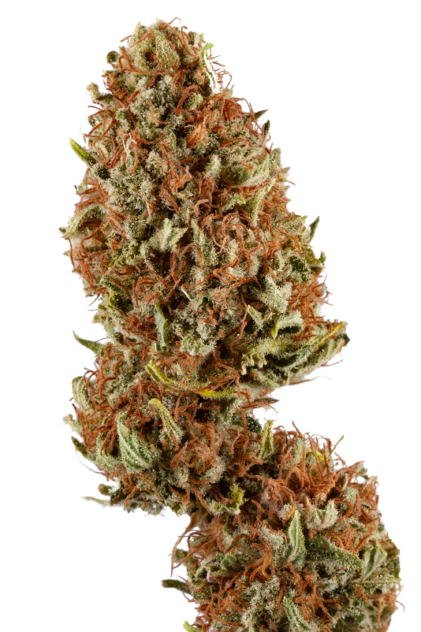 KUSH CAKE 8 CBD - GREEN HOUSE – Image 4