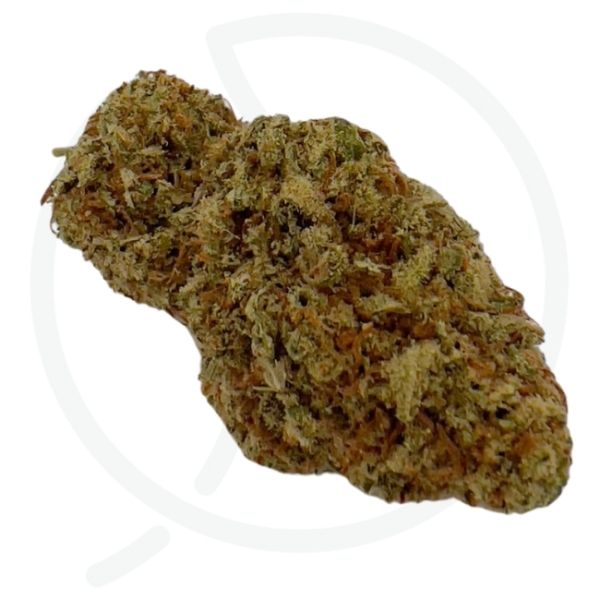 INTERSTELLAR CBD - GREEN HOUSE – Image 2