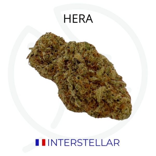 INTERSTELLAR CBD - GREEN HOUSE