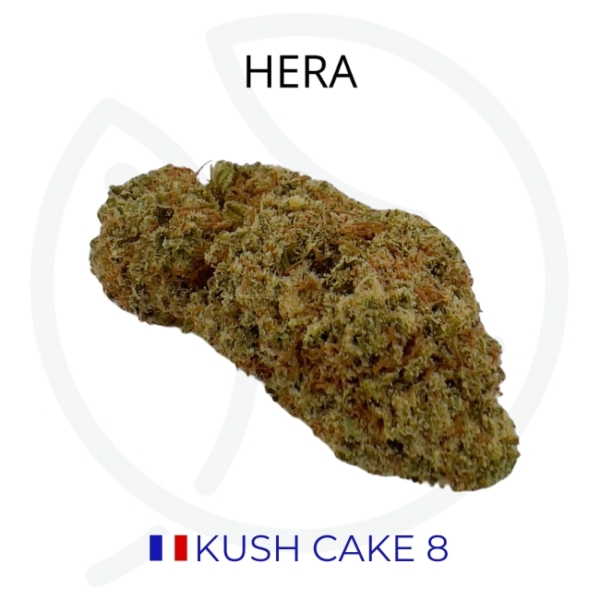 KUSH CAKE 8 CBD - GREEN HOUSE