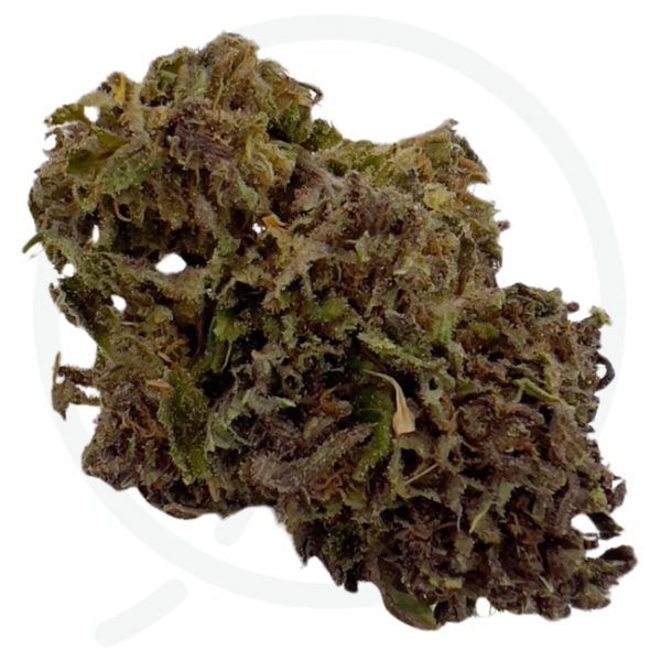 LEGENDARY OG CBD - LIVING SOIL – Image 2