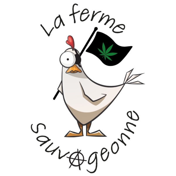 PACK TEST #10 - FULL RÉSINES : 6 GRAMMES – Image 10