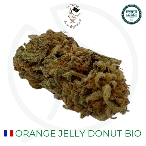 ORANGE JELLY DONUT CBD - BIO
