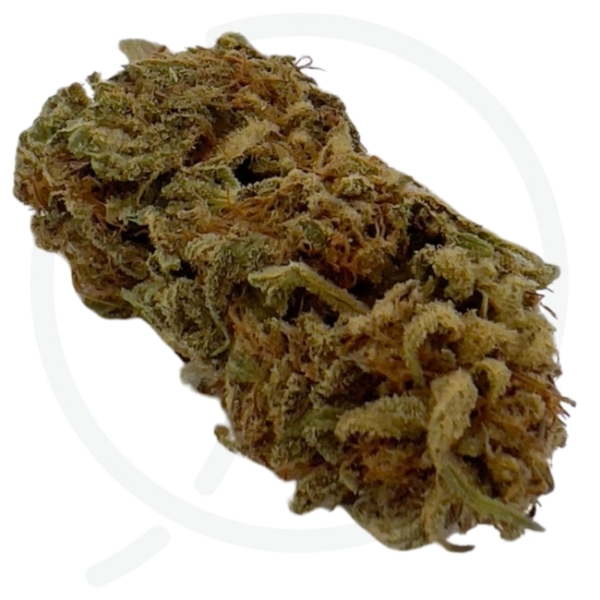 ORANGE JELLY DONUT CBD - BIO – Image 2