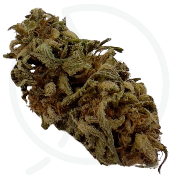 PINEAPPLE CBD - BIO – Image 2