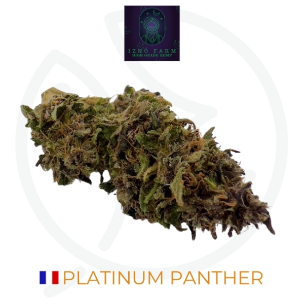 PLATINUM PANTHER CBD - LIVING SOIL
