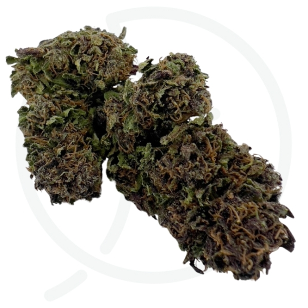 SAPPHIRE KUSH - GREEN HOUSE - BIO – Image 2