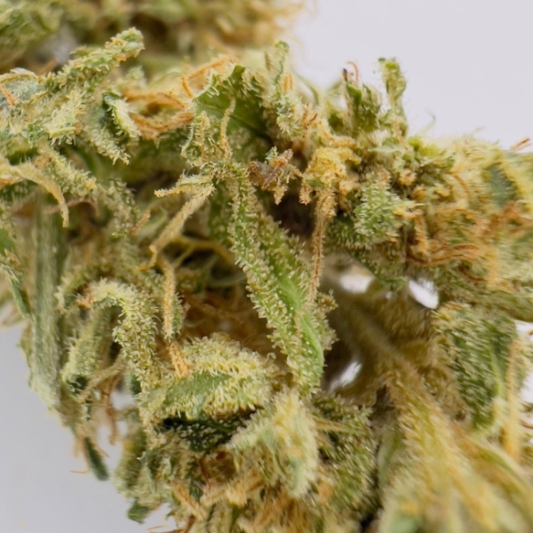 SHAO K CBD - LIVING SOIL – Image 4