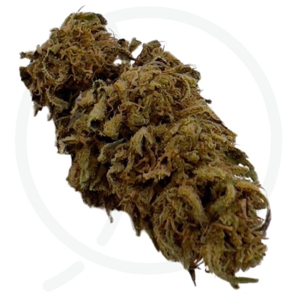 TROPICALE CBD - BIO – Image 2