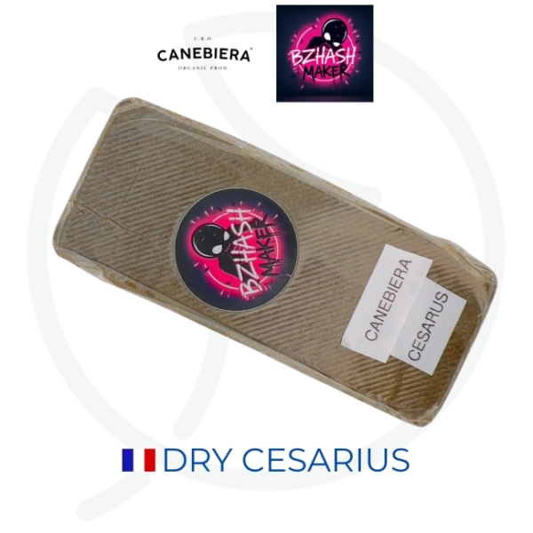 DRY CESARIUS CBD 30% - COLLAB' CANEBIERA & BZH MAKER – Image 3
