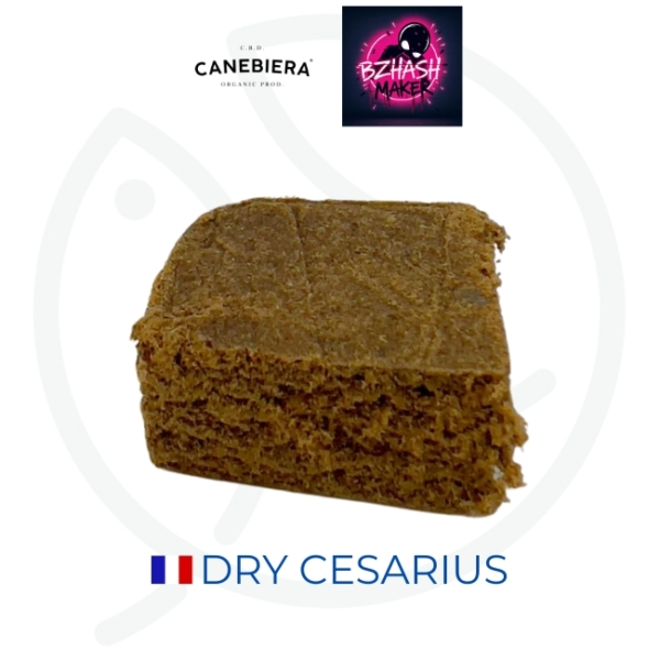 DRY CESARIUS CBD 30% - COLLAB' CANEBIERA & BZH MAKER
