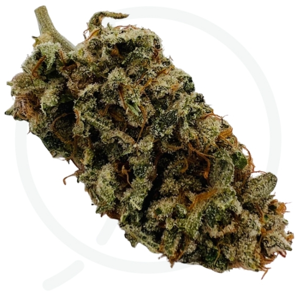 KUSH OZ CBD - INDOOR – Image 2