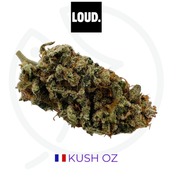 KUSH OZ CBD - INDOOR