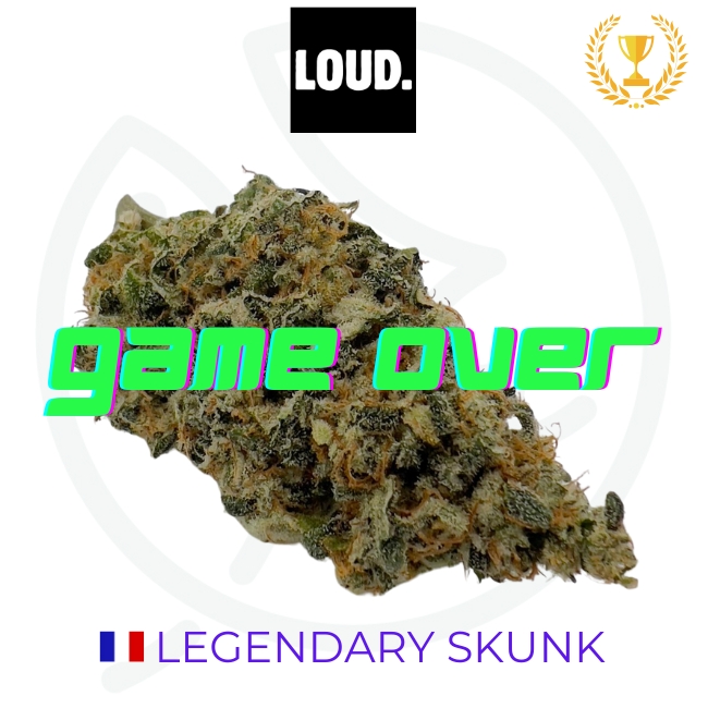 LEGENDARY SKUNK CBD - INDOOR