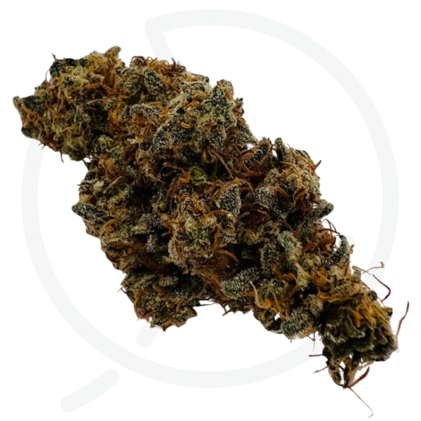 SORBET CITRON CBD - INDOOR – Image 2