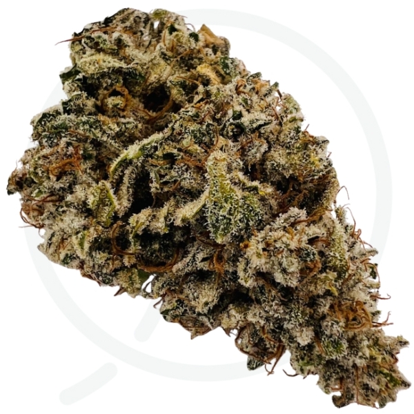 STRAWBERRY DONUTS CBD - INDOOR – Image 2