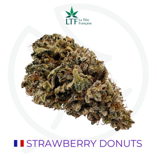 STRAWBERRY DONUTS CBD - INDOOR