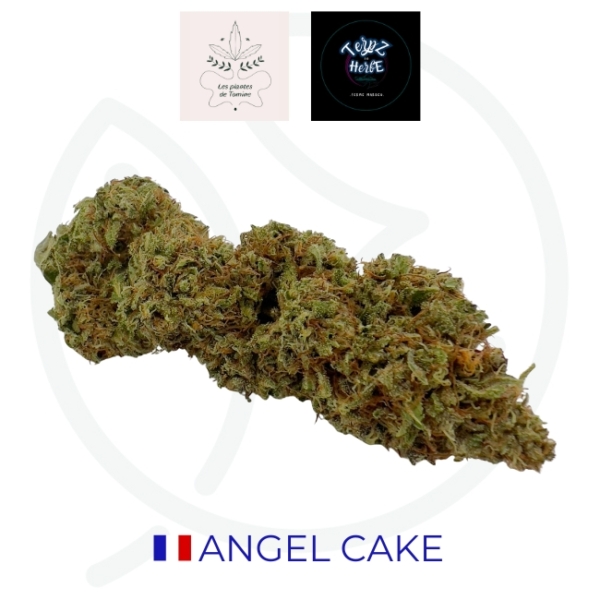 ANGEL CAKE CBD - BIO
