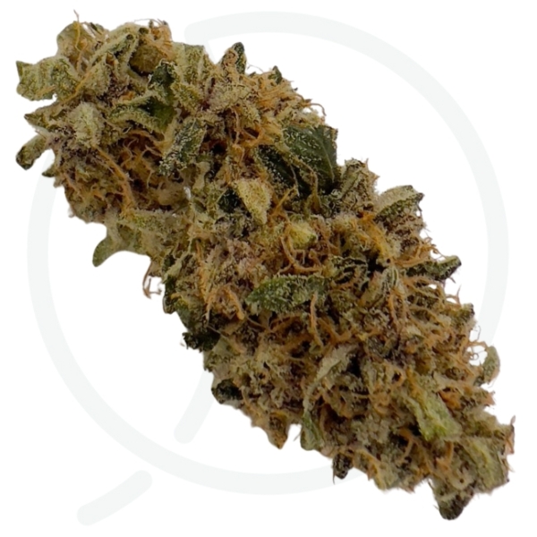 BANANA YAK CBD - INDOOR – Image 3
