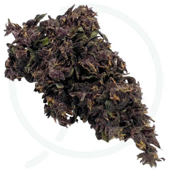 BLOOD ORANGE DIESEL CBD - SERRE – Image 3