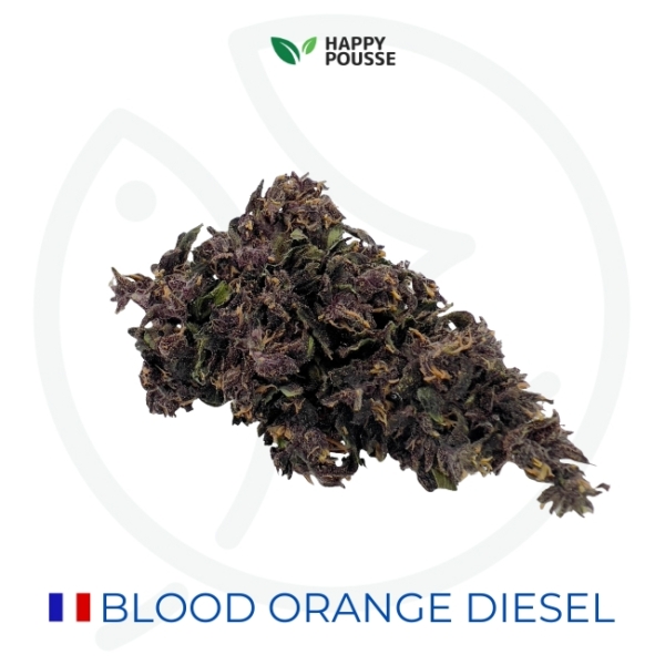 BLOOD ORANGE DIESEL CBD - SERRE