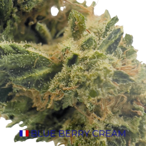 BLUE BERRY CREAM CBD - GLASS HOUSE – Image 2