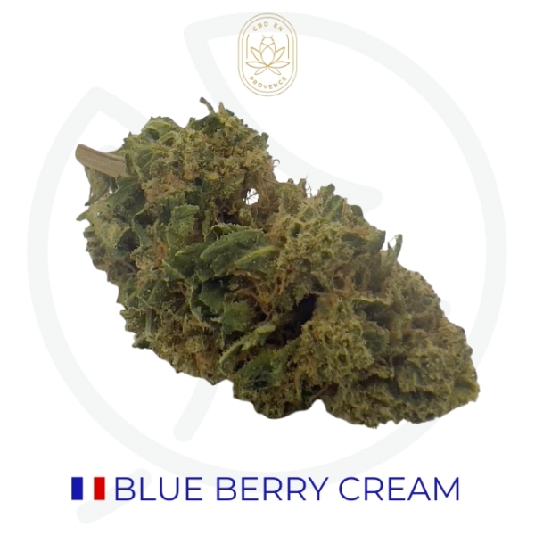 BLUE BERRY CREAM CBD - GLASS HOUSE
