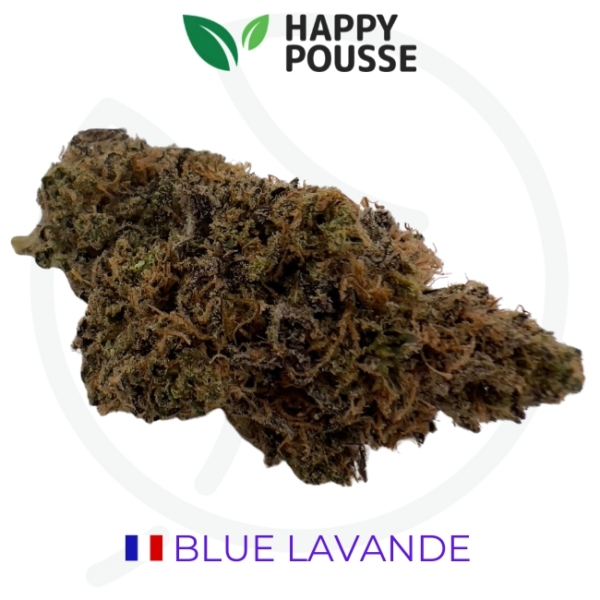 PACK TEST INDOOR FRANCE #13 - 10 GRAMMES – Image 10