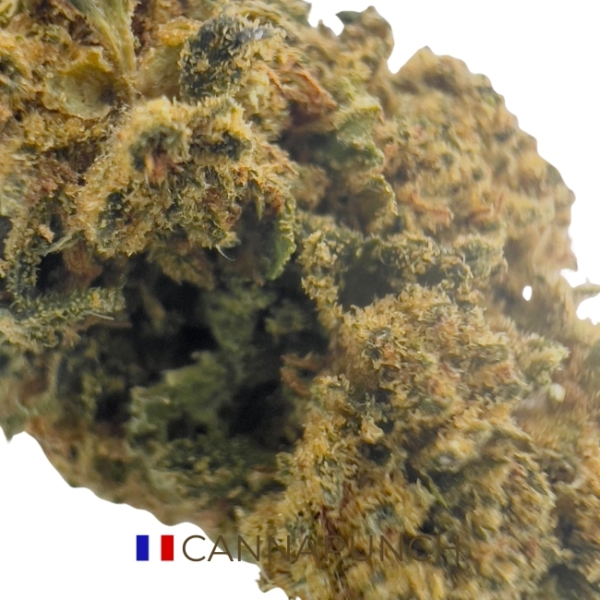 CANNAPUNCH CBD - OUTDOOR – Image 2