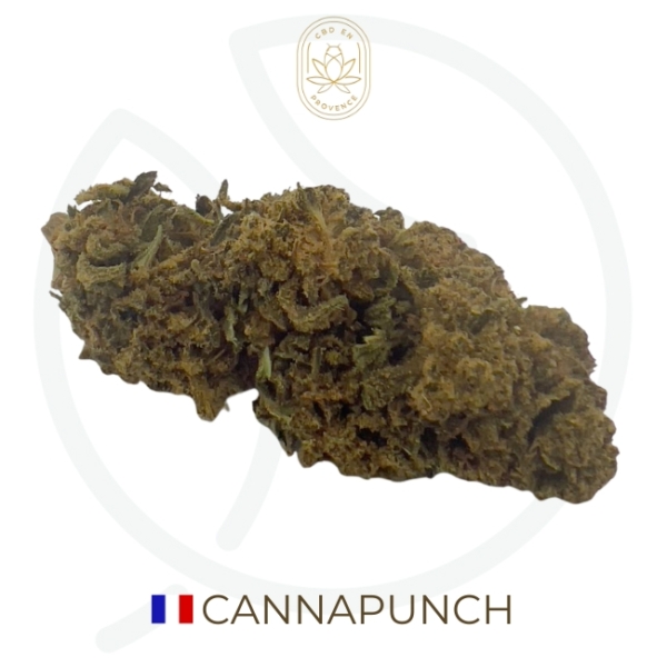 CANNAPUNCH CBD - OUTDOOR