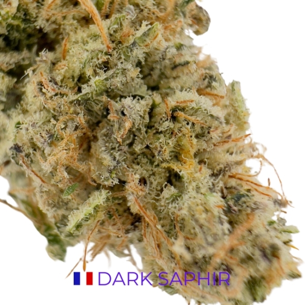 DARK SAPHIR CBD - INDOOR – Image 2