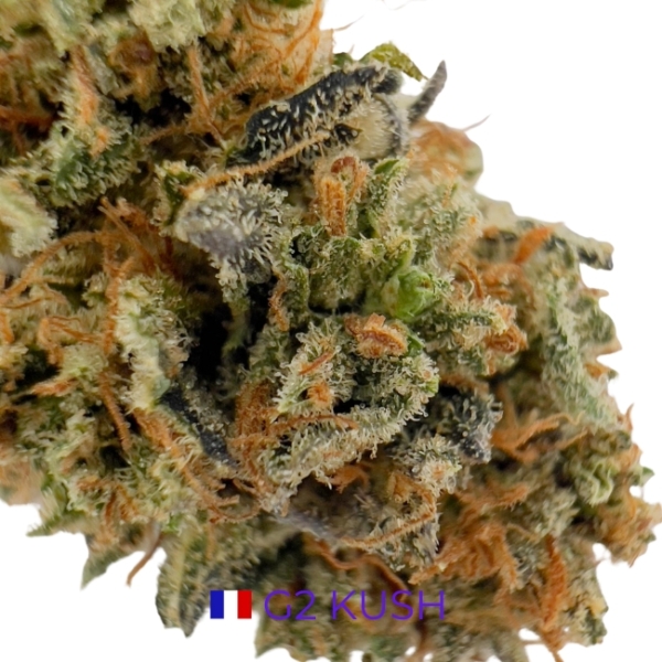 G2 KUSH CBD - INDOOR – Image 2