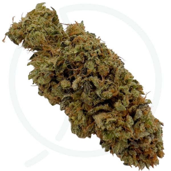 G2 KUSH CBD - INDOOR – Image 3