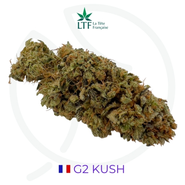 G2 KUSH CBD - INDOOR