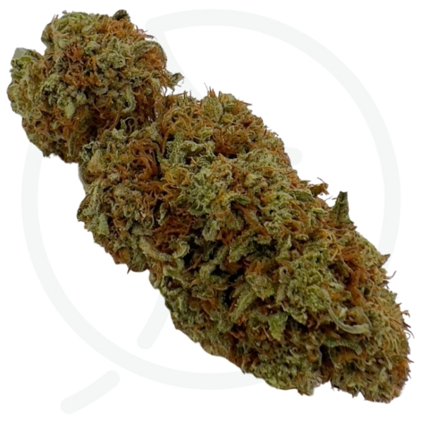GODFATHER CBD*CBC - BIO – Image 3