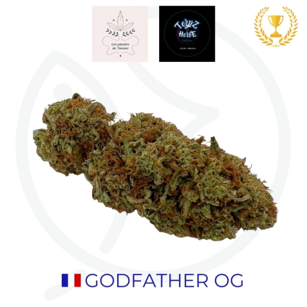 GODFATHER CBD*CBC - BIO