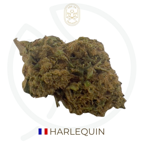 HARLEQUIN CBD - OUTDOOR