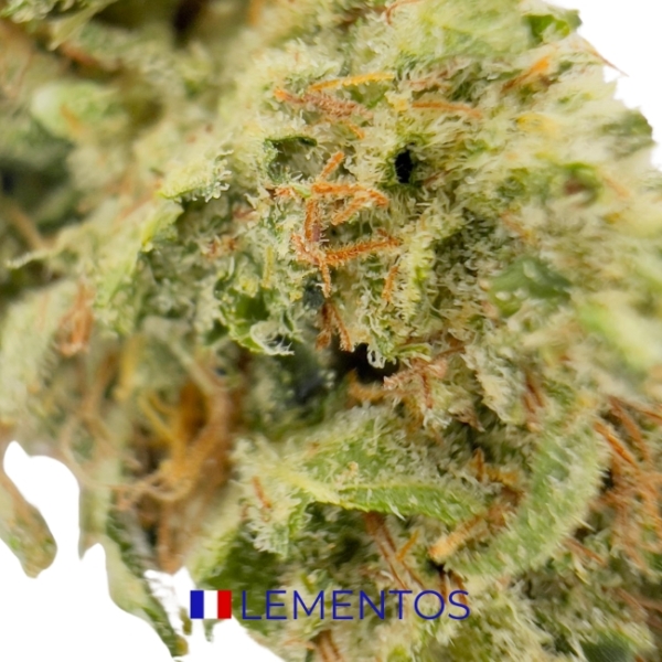 LEMENTOS CBD - BIO – Image 2